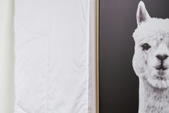 アルパカ 150gsm サマーウェイト羽毛布団 - ニュージーランド製